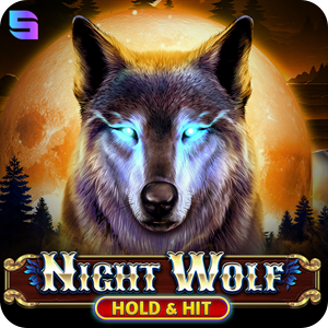 NIGHT WOLF - HOLD & HIT