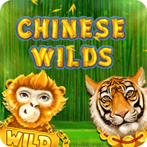CHINESE WILDS